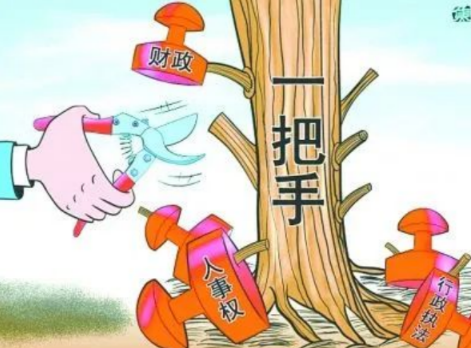 你確定你們的項目是“一把手工程”？