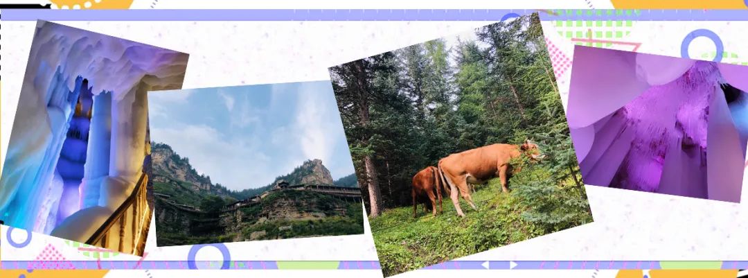 1621817905179046.jpeg 640-2.jpeg